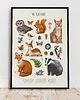 plakaty Plakat "W LESIE" 40x50 cm