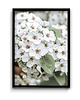 plakaty Plakat Blossom