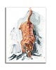 grafiki i ilustracje Akwarela ręcznie malowana "Puma" pantera