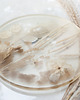 patery i talerze Taca DELICATE