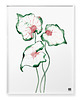 plakaty Plakat Kaladium 4