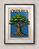 plakaty Plakat Okinawa - drzewo Gajumaru Japonia
