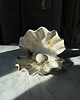 pojemniki na biżuterię Elegancka ceramiczna muszla na toaletkę 