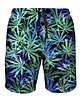 spodnie męskie Shorty Kąpielowe Męskie DR.CROW Hemp Blue