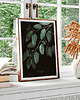 plakaty Plakat botaniczny  Eukaliptus  A3