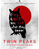 plakaty Plakat / Twin Peaks / The Owls Are Not What They Seem