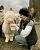 opaski do włosów Podwójnie ciepła czarna opaska merino na mroźny wiatr