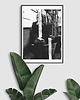 fotografia Wiosna - grafika fotograficzna