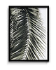 plakaty Plakat Botanic #5
