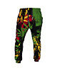 spodnie męskie DR.CROW Spodnie Fullprint Rasta Lion