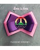 broszki Brosza z Kolekcji LOVE is LOVE  Pride