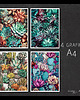 grafiki i ilustracje Zestaw 4 grafik A4 - Kaktusy i sukulenty