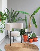 fotele Fotel No.3, Novelista design
