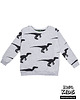 bluzy dla chłopców Szara Bluza w Dinozaury HRSQ KIDS