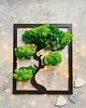 dekoracje świąteczne Drzewo bonsai z mchem, w prostokącie