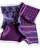 muszki i krawaty Poszetka Jedwabna Royal Purple 4 w 1