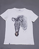 t-shirty męskie T-shirt ZEBRA