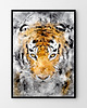 plakaty Plakat tygrys
