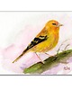grafiki i ilustracje Akwarela ręcznie malowana "Czyżyk"