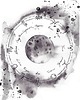 grafiki i ilustracje Księżyc w Pełni i Znaki Zodiaku  akwarela wydruk artystyczny