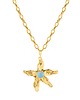 złote naszyjniki Naszyjnik srebrny pozłacany rozgwiazda BLOSSOM