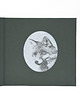 notatniki i albumy Album Czułość Lis