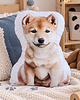 poduszki do pokoju dziecka Poduszka piesek przytulanka piesek shiba inu maskotka pluszowa shiba inu