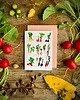 kartki okolicznościowe - wydruki Rzodkiewki- Kartka- Grafika- Ilustracja- Las