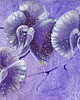 grafiki i ilustracje Orchidea fioletowa