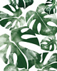 tapety i naklejki ścienne Tapeta  młodzieżowa Monstera Leaf