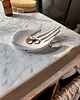 pojemniki na biżuterię Ceramiczna Łapka Handmade Talerzyk na Biżuterię Dalmatyńczyk
