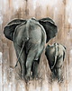 plakaty DWA SŁONIE 40x50cm Plakat na płótnie boho afryka