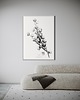 plakaty Plakat Cotton flowers
