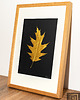 Ozdoby na ścianę Obraz Botaniczny. Złoty Liść Dębu. Drewniana Ramka Dąb 20x30cm