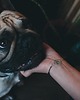bransoletki srebrne Srebrna bransoletka na czarnym sznurku buldog 