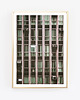 fotografia green building fotografia