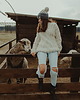 swetry damskie  Sweter Noomi