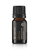 akcesoria do jogi Olejek eteryczny DREAM - Drzewo sandałowe - 10ml
