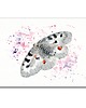 grafiki i ilustracje Obraz oryginalny "Niepylak Apollo" motyl