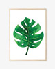 grafiki i ilustracje PLAKAT MONSTERA LIŚCIE BOTANICZNY z monsterą