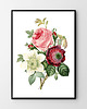 plakaty Plakat Vintage Flowers