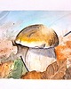 obrazy Akwarele JESIEŃ Miesiące Krajobraz Rośliny grzybobranie grzyby las