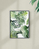 grafiki i ilustracje Palma - ilustracja botaniczna