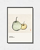 plakaty Kono Bairei  - Exhibition Poster