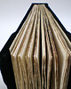 notatniki i albumy Welurowy notes