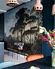 fototapeta Włoski Krajobraz z Sosnami - Reprodukcja
