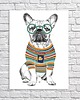 inne OBRAZ NA PŁÓTNIE -  60x80 BULLDOG HIPSTER