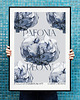 plakaty Plakat  Peonie vintage blue