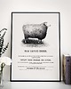plakaty Plakat retro- owca