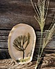 pojemniki na biżuterię Talerz Ceramiczny Zielnik